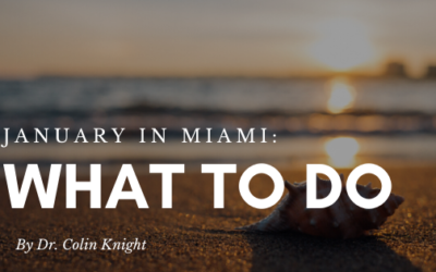 January in Miami: What To Do