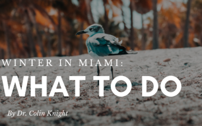 What To Do During Winter Time in Miami by Dr. Colin Knight