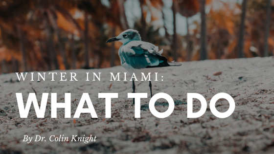 What To Do During Winter Time In Miami By Dr. Colin Knight